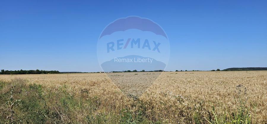 Teren Extravilan la granita cu Intravilanul - Măcheaua-Corbeanca - 2