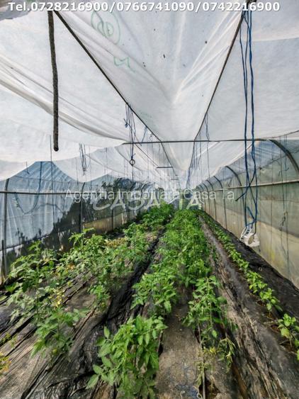 Casa situata in Samarinesti, sat Valea Bisericii - 12