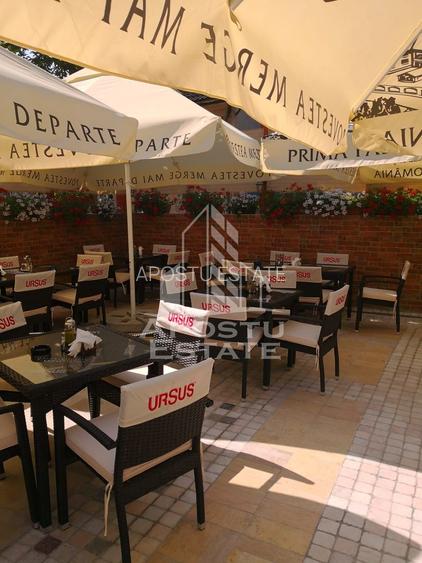 Afacere la cheie, in apropierea Castelului Corvinilor in Hunedoara - 27