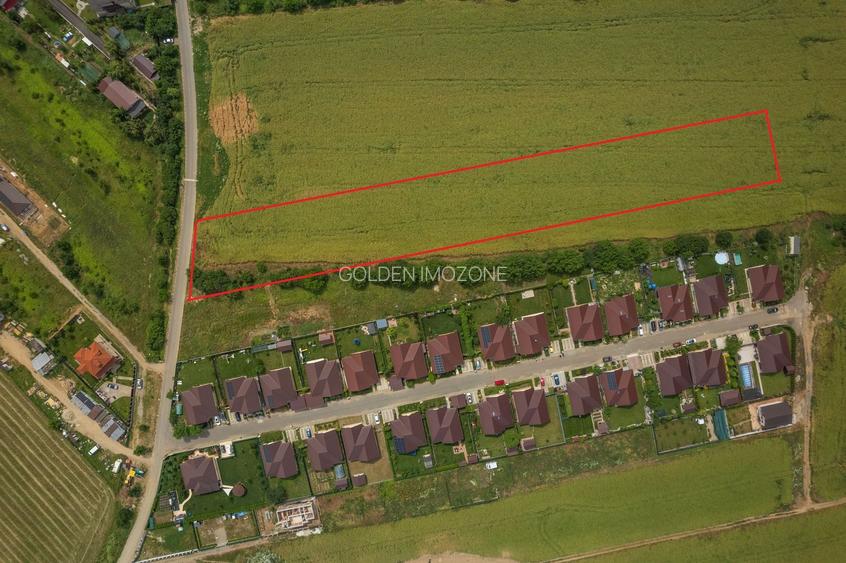 Teren intravilan, Balotești, Strada Cameliei 36, 10.000 mp - 7