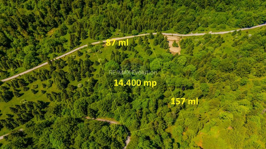 Teren extravlan 14,400mp Paraul Rece / Strada 3 brazi - 9
