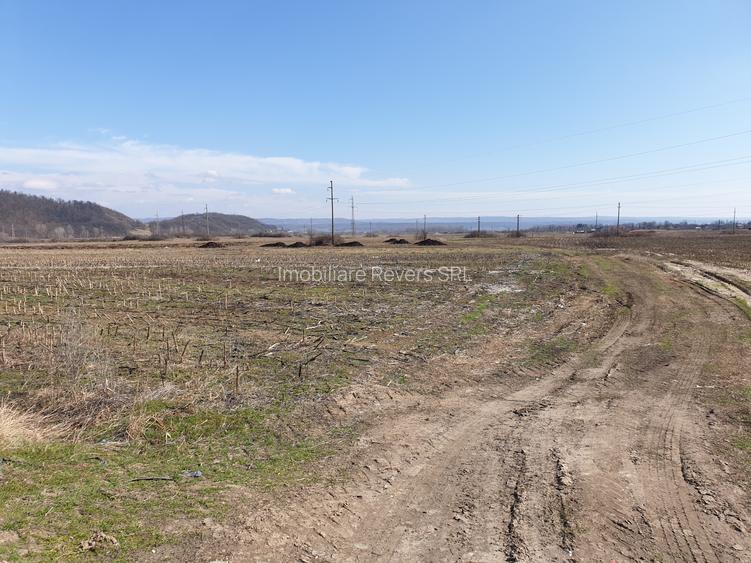 TEREN AGRICOL BABENI LANGA ABATOR LA PROVINCIA - pretabil ferma cu panour solare - 32