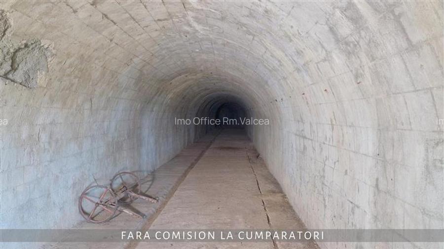 OPORTUNITATE UNICA IN DOMENIUL VITICOL - 8