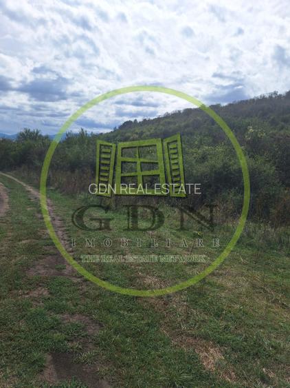 Teren extravilan 700mp in Gusterita. - 3