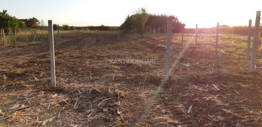 Teren Construcții intravilan de 980 mp, în Corbeanca - 6