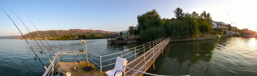 Afacerea Ideala- Vila cu deschidere la Dunare 50 ml cu Ponton amenajat, ESELNIT - 10