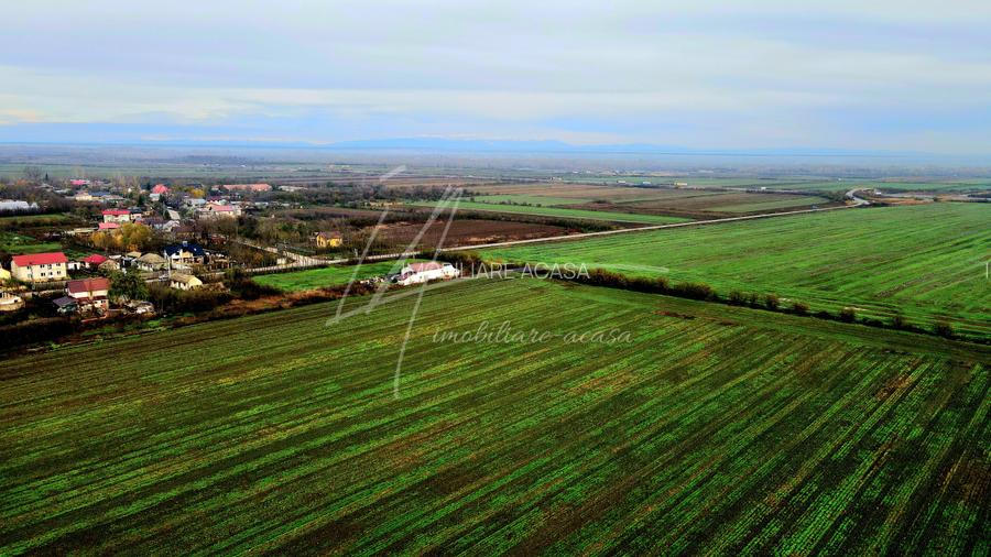 Teren intravilan curti-constructii, industrial, Autostrada A1 - km 62 - 28
