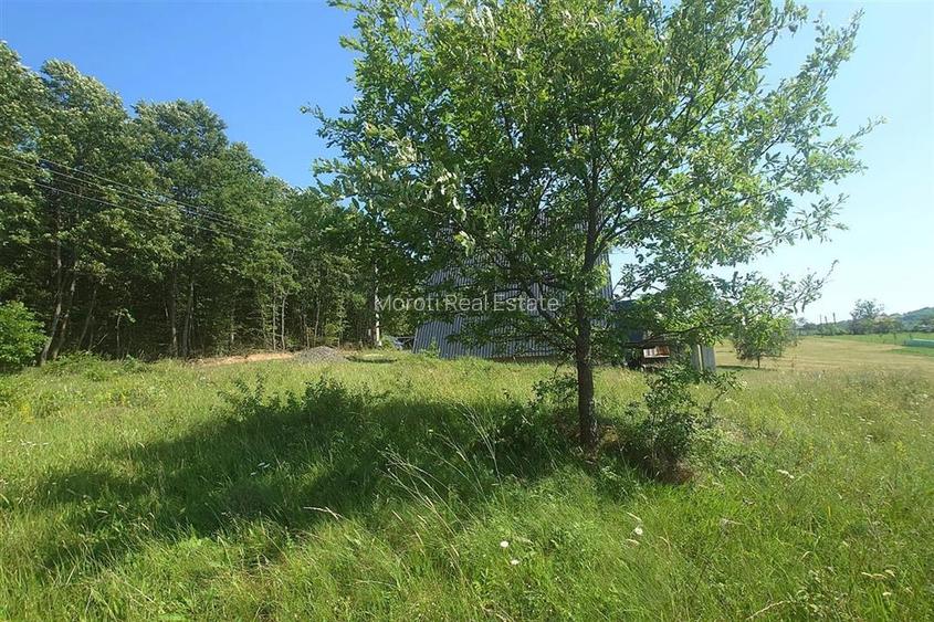 Teren intravilan de vanzare  in Luncoiu de Jos, sat Luncoiu de Sus, 3000 mp - 6