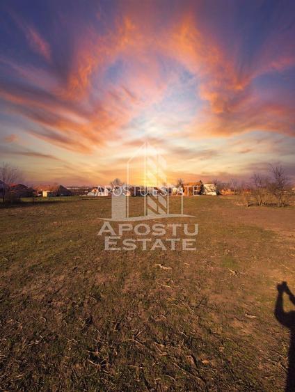 Casă spațioasă cu 2 locuințe și teren generos de 5.755 mp în Șandra - 18