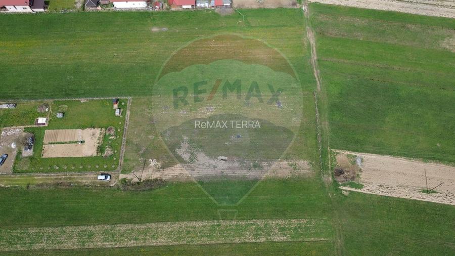 Teren de vânzare intravilan Cătălina - 5