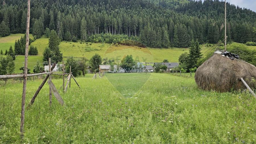 Casa 225 mp, teren intravilan 4822 mp C. Moldovenesc, Suceava - 9