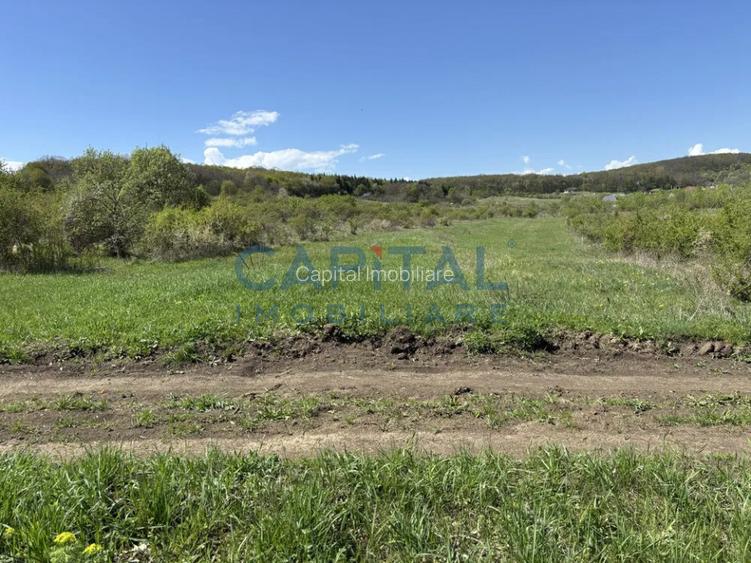 Teren intravilan 2200mp, Front 16m, sat. Padureni, Chinteni - 6