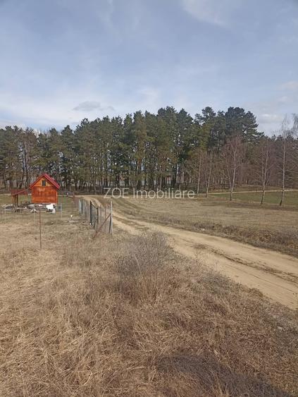 De vânzare teren intravilan în Lacul Reci - 7