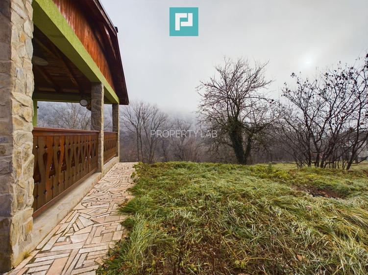 Casă de vacanță în Moneasa - 19