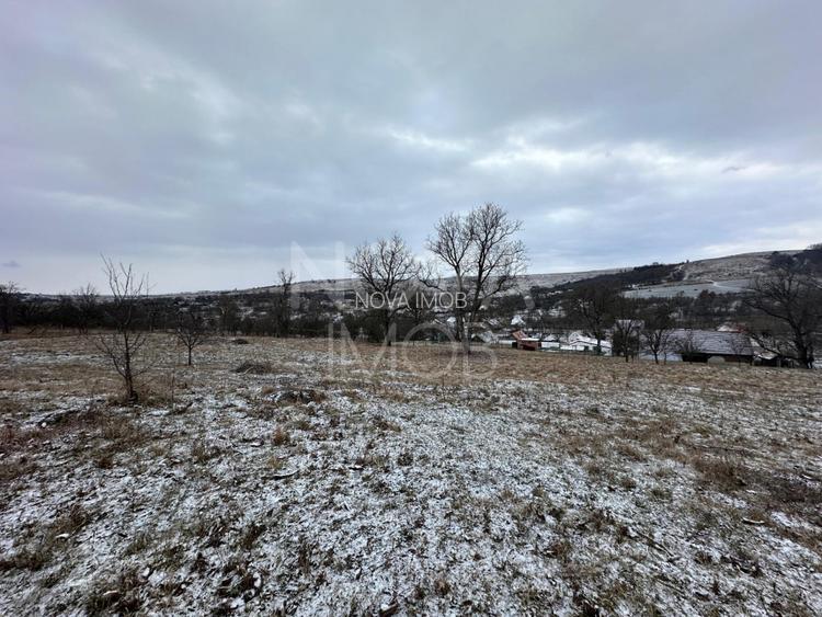 Casa individuala cu teren generos – 8.356 mp – Tichindeal, jud. Sibiu - 10