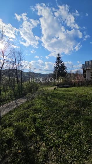 BREBU – intravilan 1800 mp, deschidere 29 ml, doar 16.900 € - 11