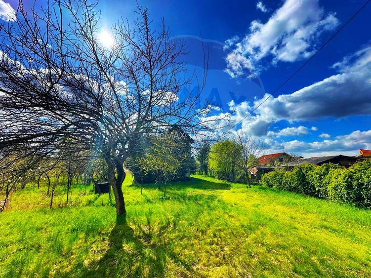 ZONA PREMIUM-TEREN INTRAVILAN - 4