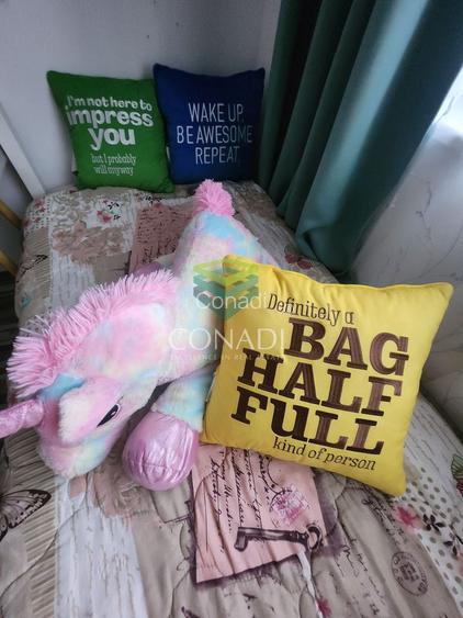 Casa fermecatoare cu  4 dormitoare de vânzare Otopeni, Penny Odai - 16