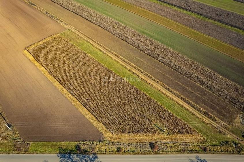 De vanzare teren intravilan la intrarea Arcusului - 5