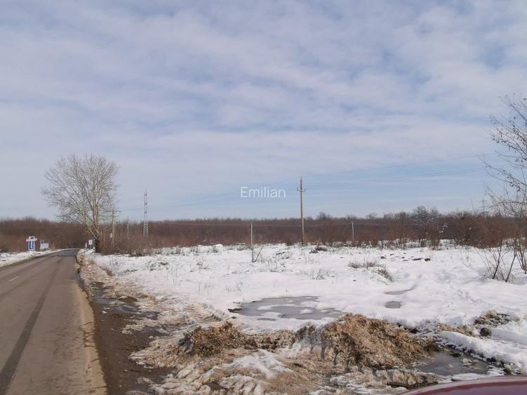 Teren langa padure - Sabareni - 2