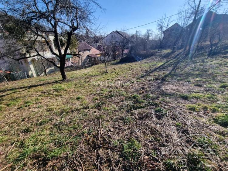 Valea Rosie, teren 820 mp intravilan - 4