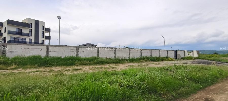 Teren Centura Severinului - 2