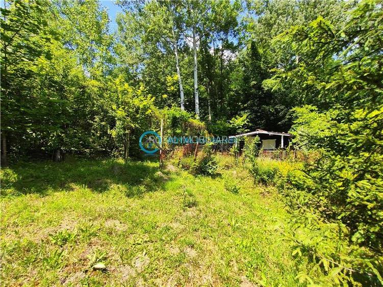 Royal Imobiliare -vanzare vila/ casa de vacanta zona CAMPINA - 24