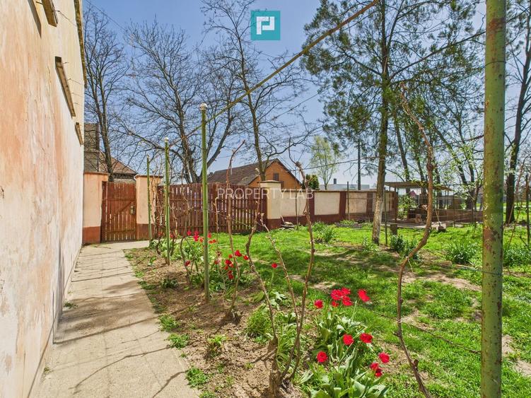 Casă cu grădină mare la 30 km de Timișoara - 27