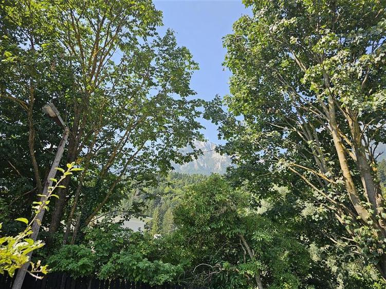 Vila cu vedere la Muntii Bucegi - 560 mpc si 963 mp teren - Zamora - 4