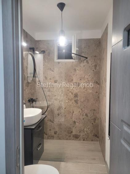 Apartament 2 camere de vanzare Drumul Taberei - Raul Doamnei - 13