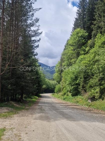 Teren intravilan - Rucar - Satic - 1775 mp - la strada principala - deschidere - 13