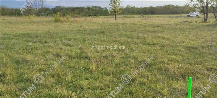 Teren extravilan in Porumbacu de Sus la drumul principal - 2