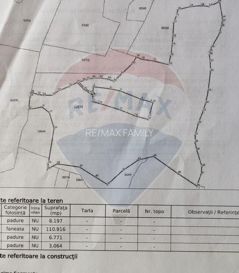 Teren 130000 mp extravilan, faneata si padure, Munteni - Bulz, Negreni - 12