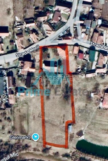 Casa cu teren de 4800 mp in Gilau - 8