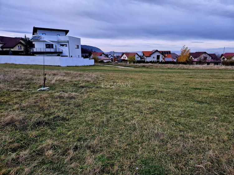 Teren Intravilan superb, 504 mp x 2/ casa locuit Bunloc - 6