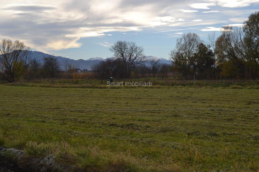 Casa single 4 camere, 110 MP + 500mp teren Stupini - 18