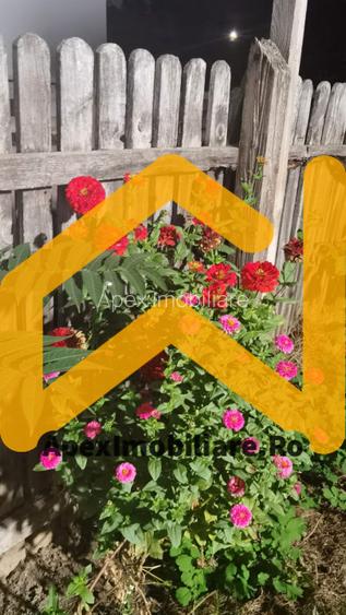 Cotroceni | Casa 3 Camere | Curte | Renovata | Pod Mansardabil - 13