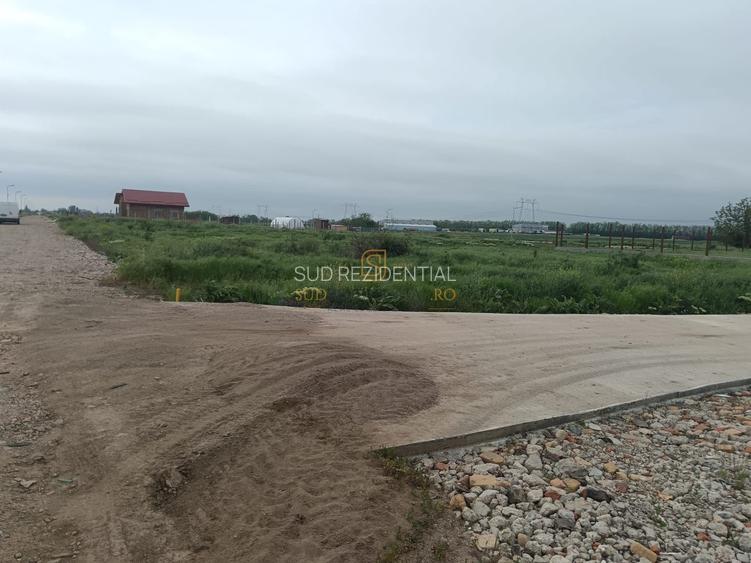 Teren de vanzare, Frumusani, Ilfov, ideal investitie, DNCB - 4