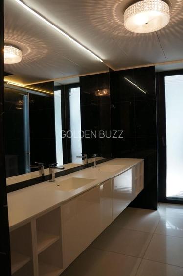 Apartament unic Primăverii - Piața Charles De Gaulle - 15