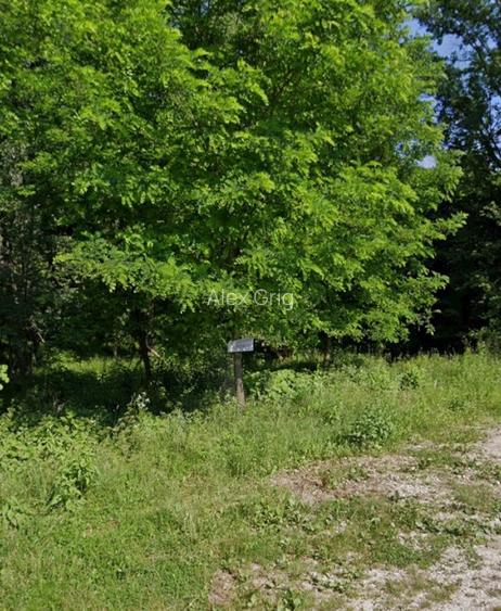 Vânzare teren construcții  - 6