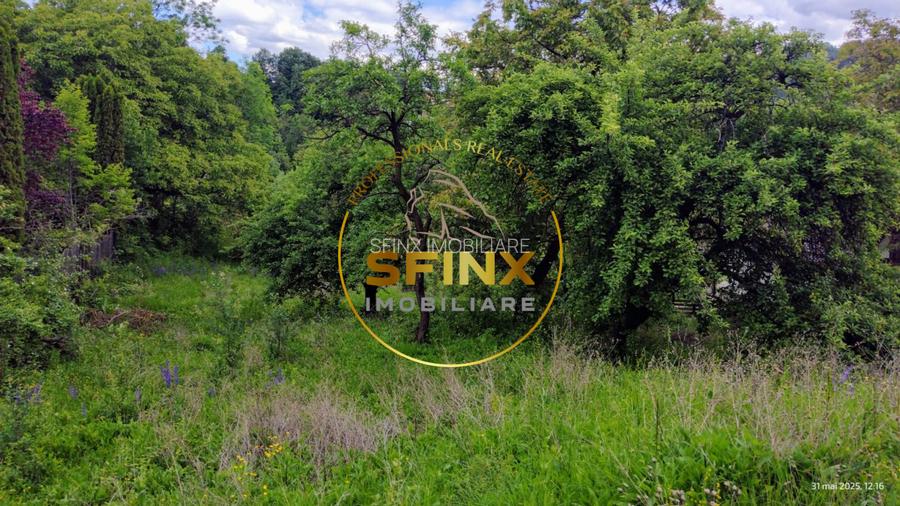 Teren intravilan de vanzare in Breaza – Strada Primaverii - 8