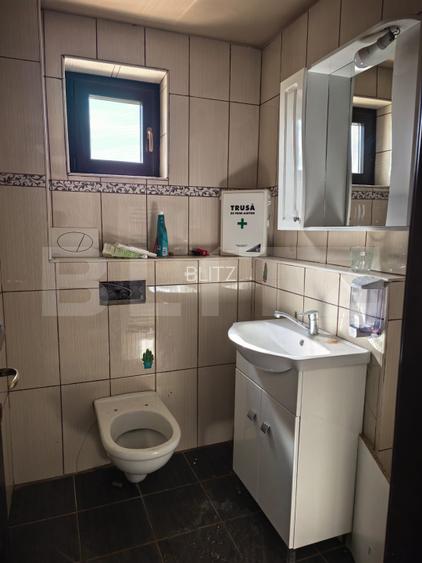 Casă, 287 mp utili , teren generos 2250 mp– Valea Ursului - 15