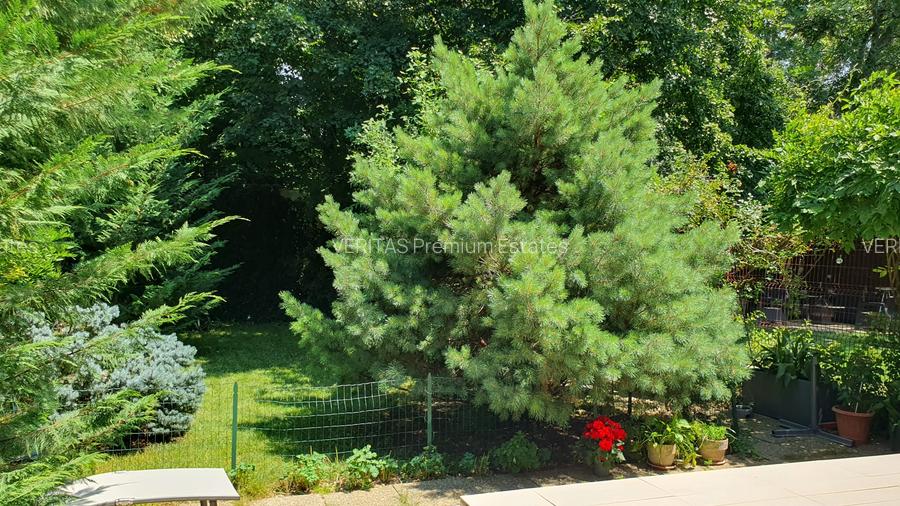 Casa superba langa padurea Baneasa, liceul Francez, metrou Paris, curte proprie - 18