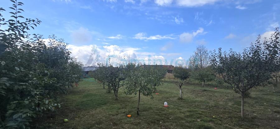 Casa moderna de vanzare, Cacuciu Vechi,Bihor - 7