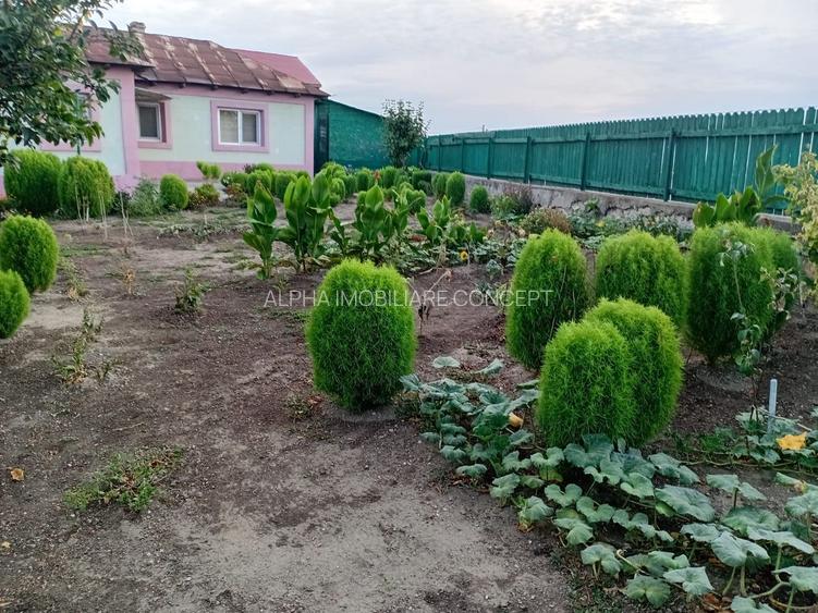 Hârșova - Cetatea Carsium casa 4 camere - 7