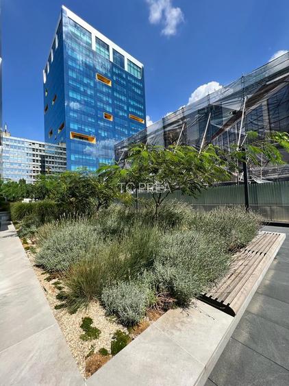 Apartament elegant cu 2 dormitoare în One Mircea Eliade – Tower 3, vedere superb - 14