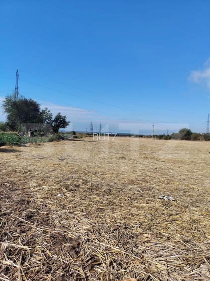 Teren Isalnita intravilan, 2500 mp, toate utilitatile - 3