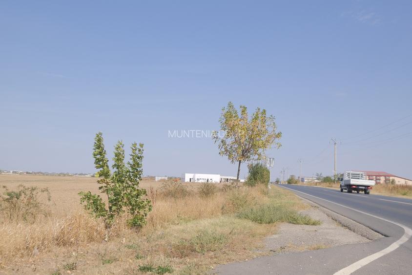 5,7 Ha. vav de Dovinot - Mihailesti, teren intravilan cu deschidere la DN6 - 4