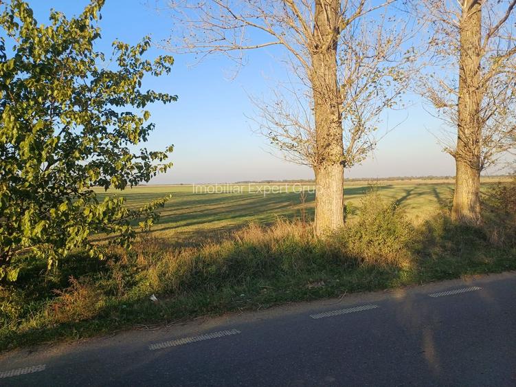 Lipia deschidere la DJ 101B ( Snagov-Nuci) - 7