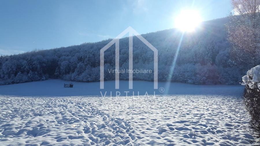 Teren intravilan de vanzare in Tocile, 3862 mp, priveliste spre padure - 12